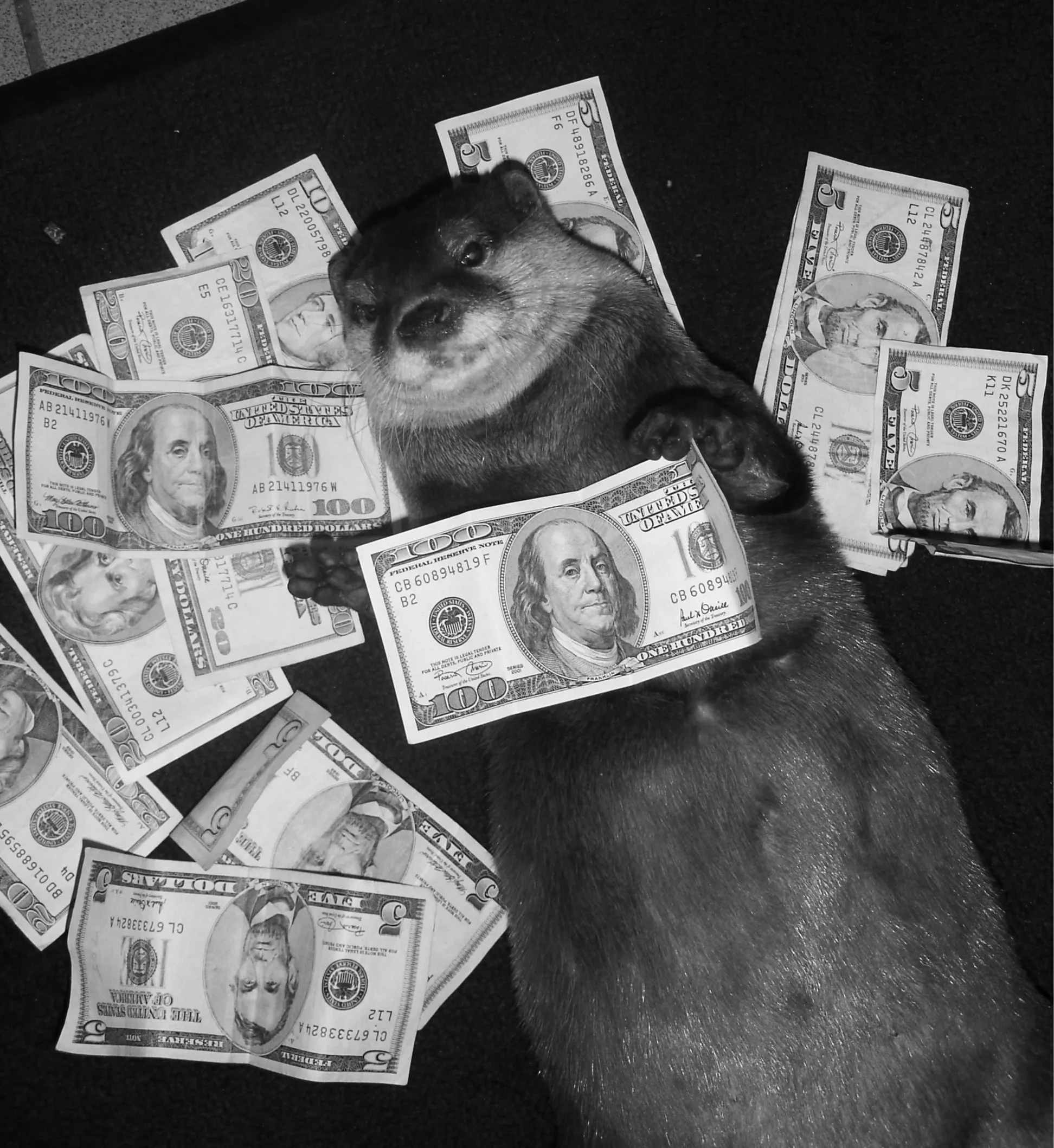 in+the+money.jpg