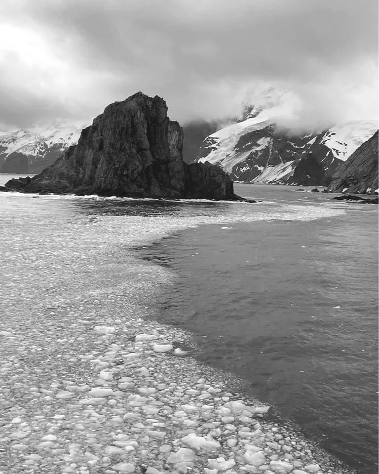 IMG_8673.jpg