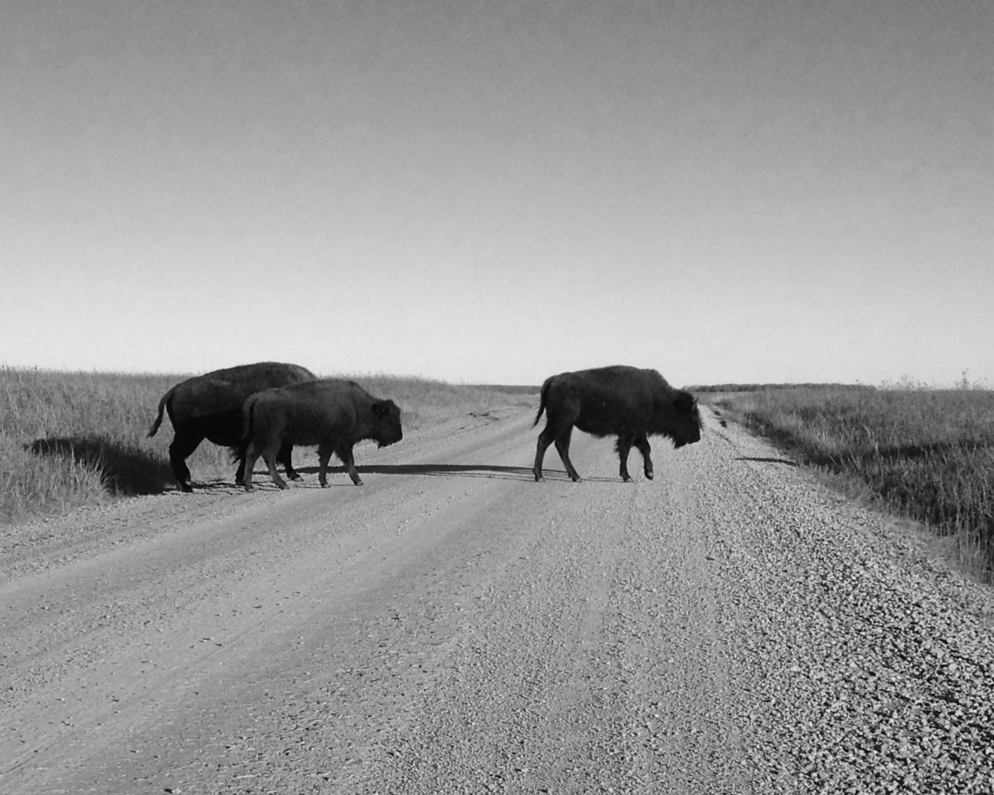 The Road Ahead