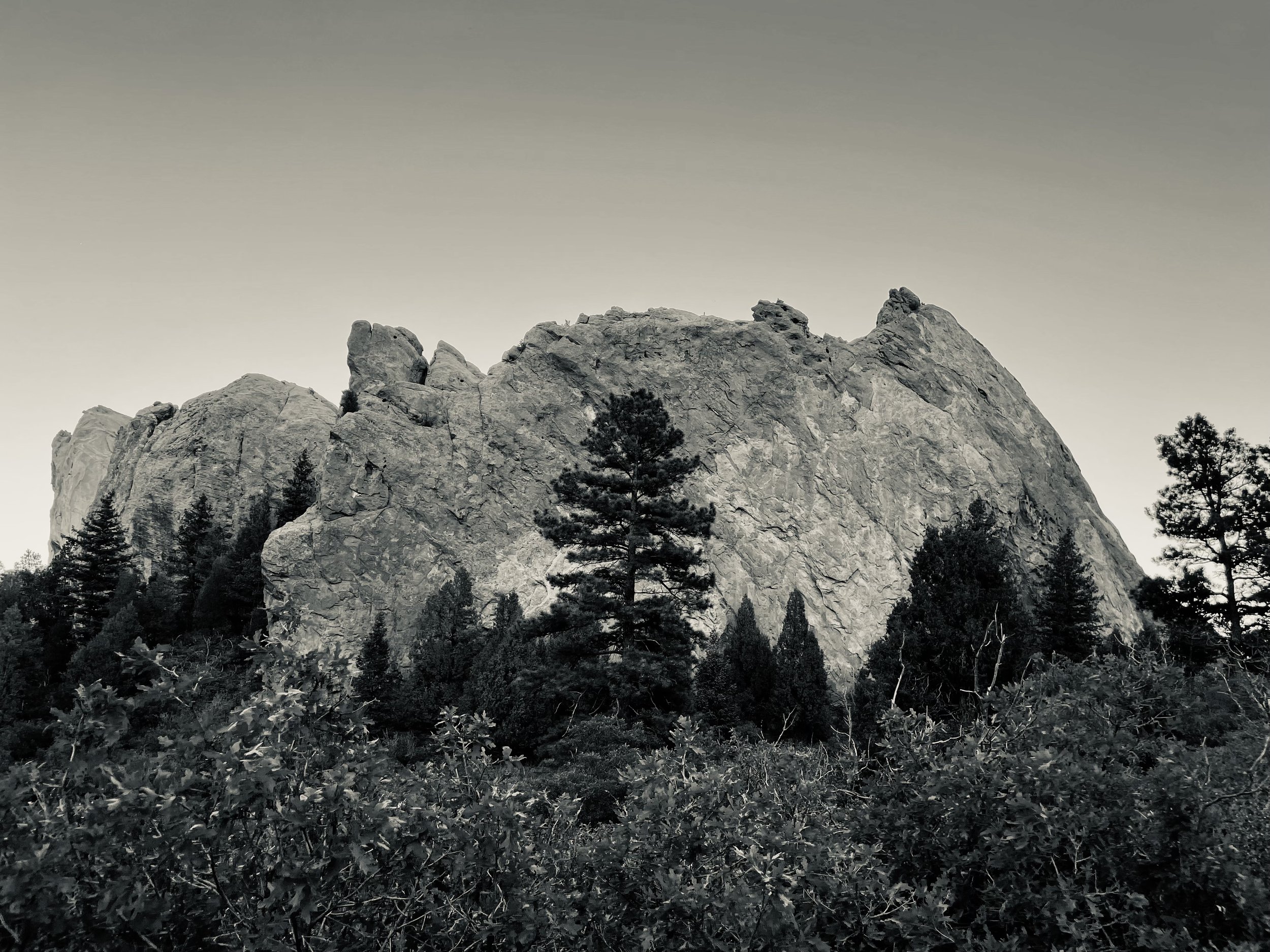 IMG_0036.jpeg