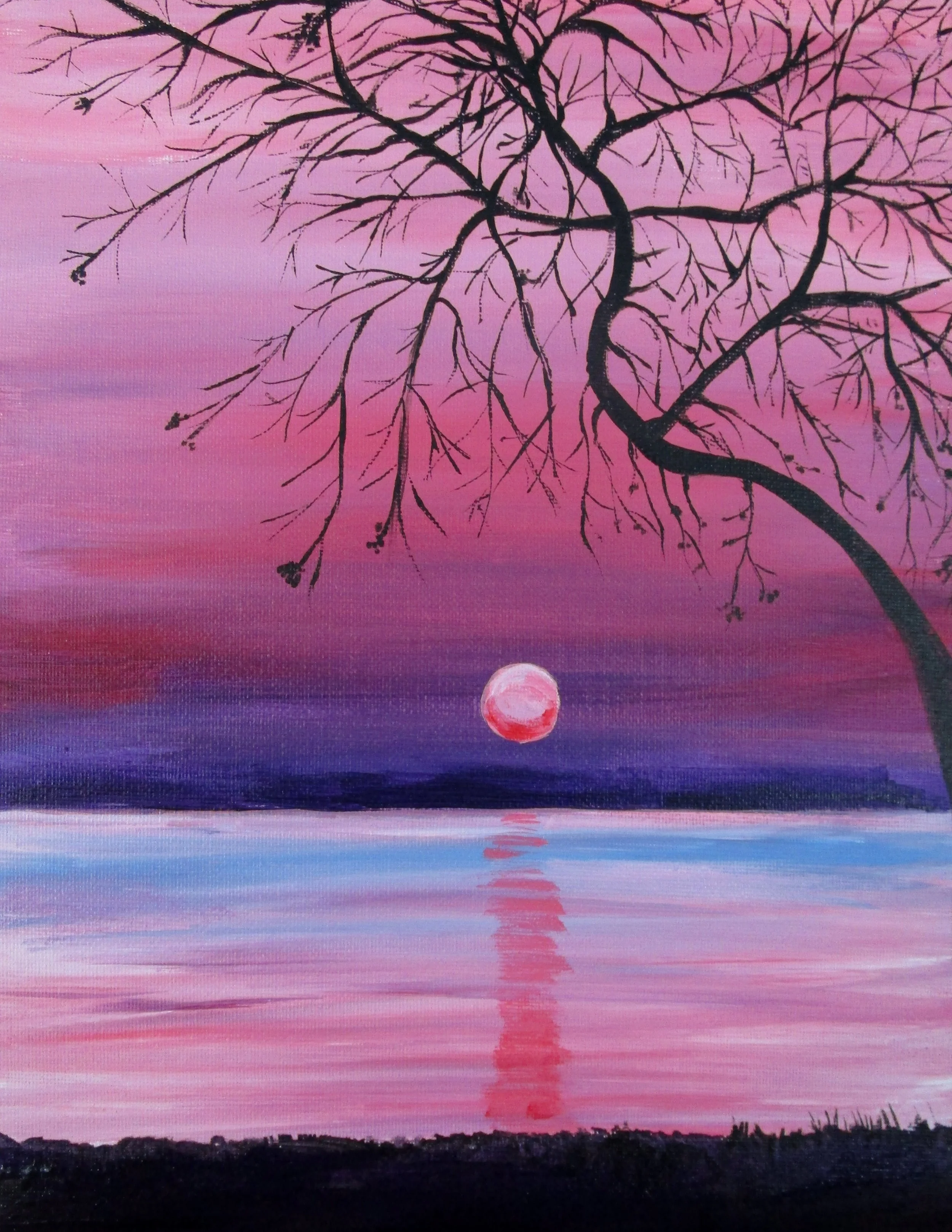 Pink Sunset