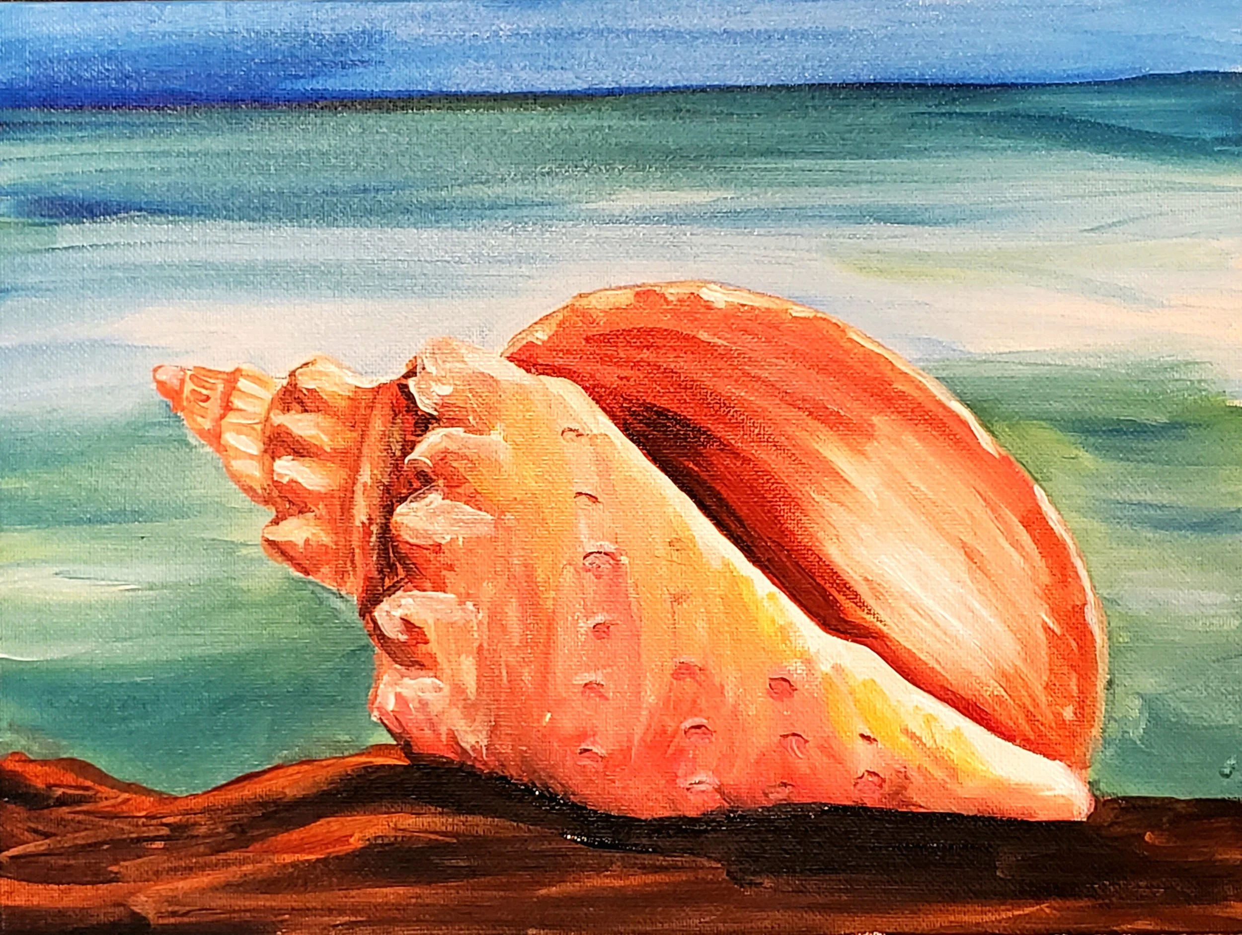 Conch Shell