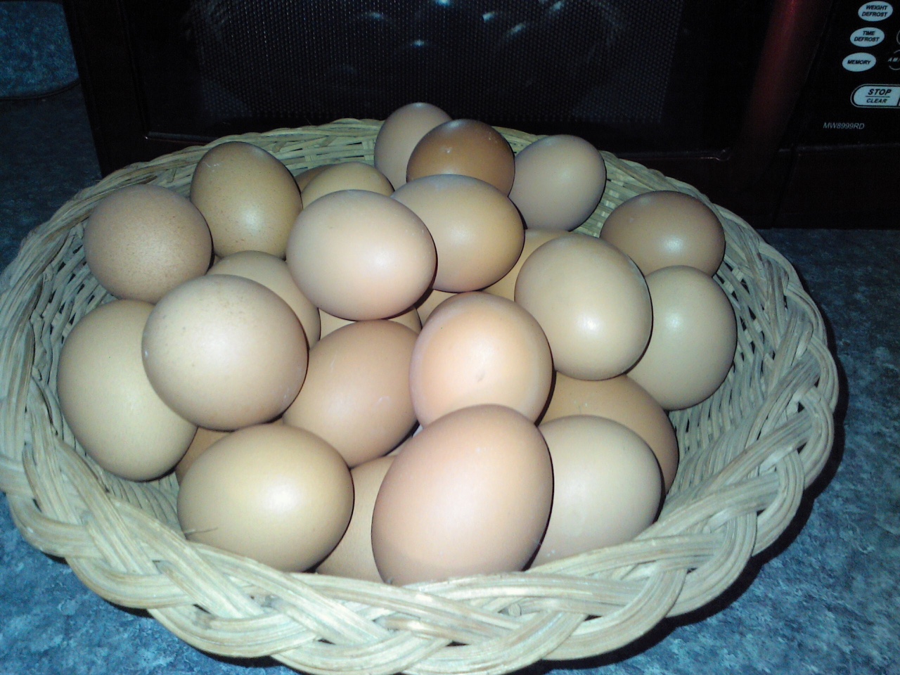 eggs.jpeg