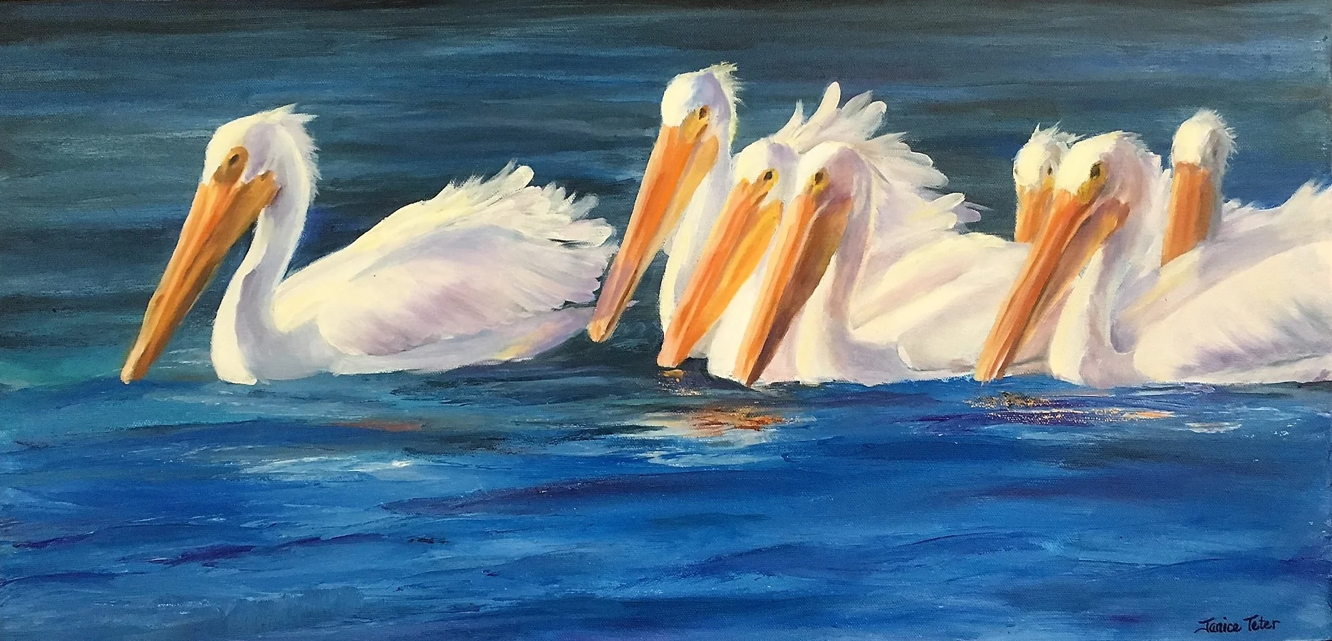 Pelicans on Macon Lake, 2017