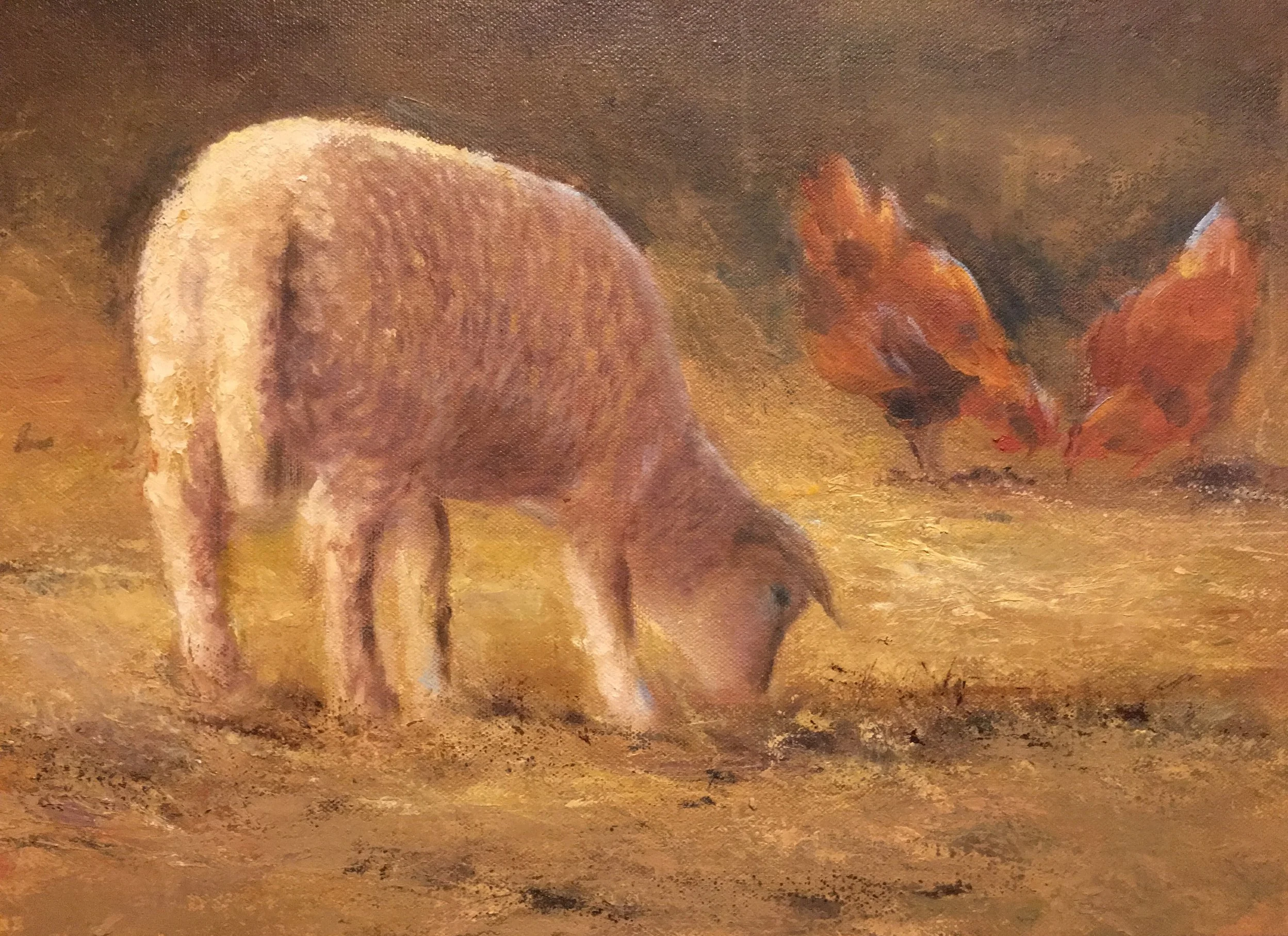 Lamb and Chickens