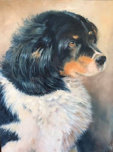dog portrait large black and white (2).JPG