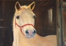 horse oil barn.JPG