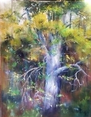 tree old oil (2).JPG