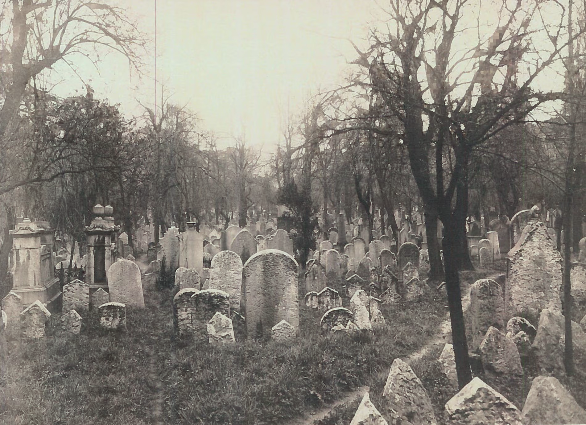  The Žižkov Jewish Cemetery before being used for the Mahler Gardens and subsequently the Žižkov Television Tower. 
