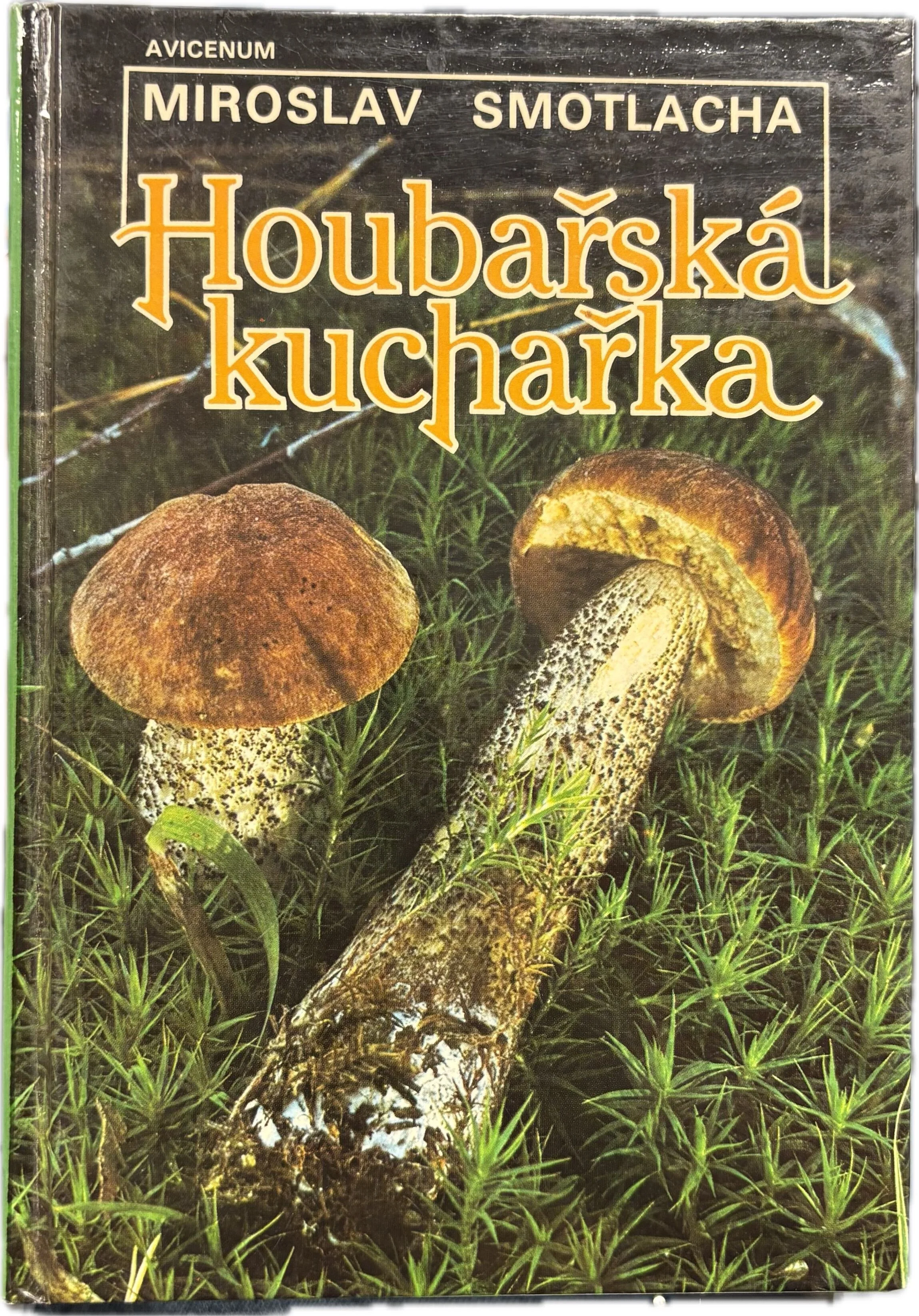 houbarska.kucharka.jpg