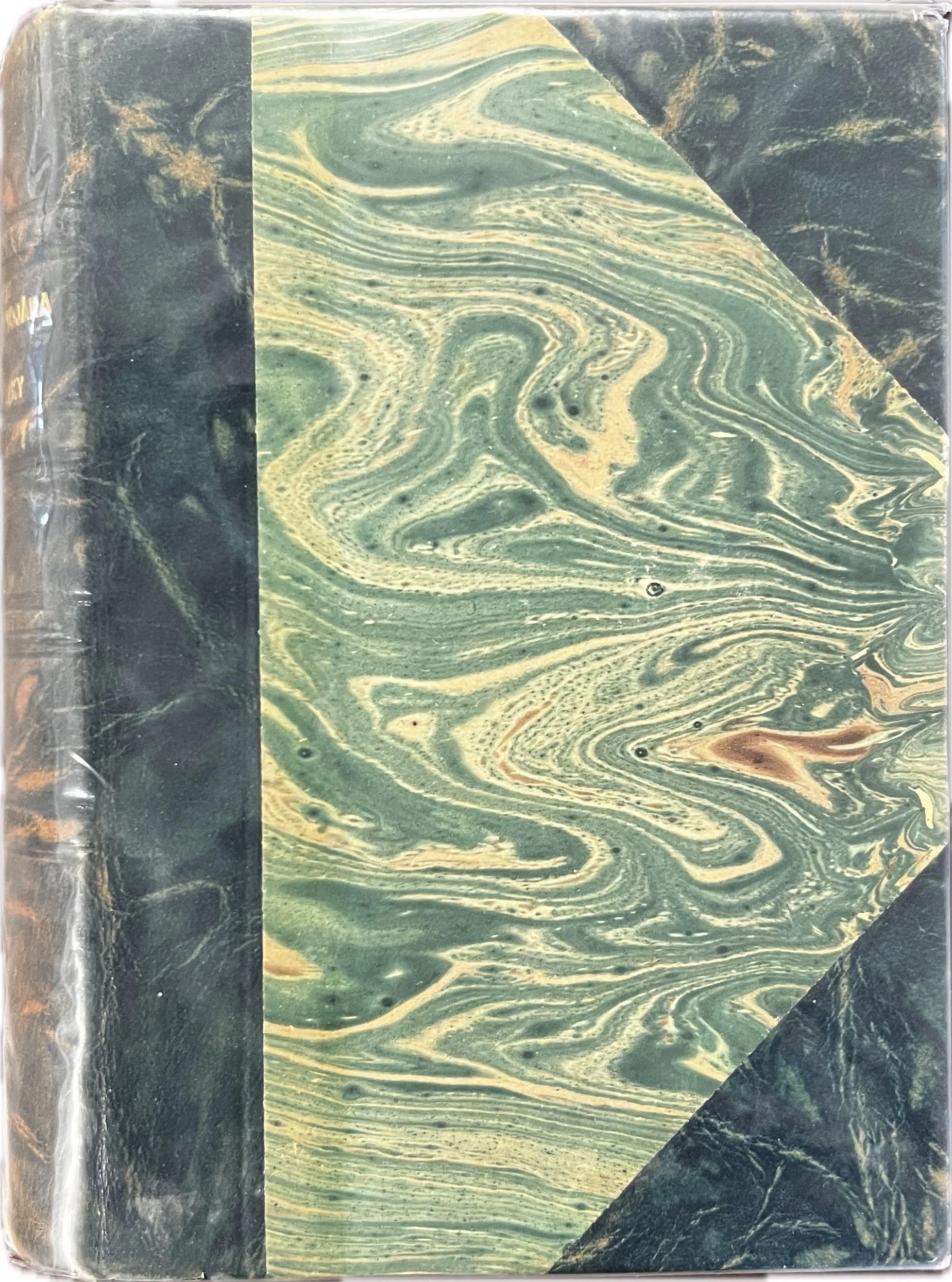 Image from iOS (6).jpg