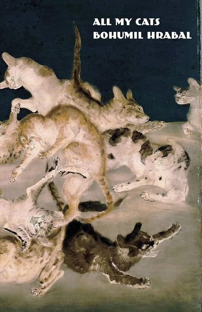 Bohumil Hrabal Book Club