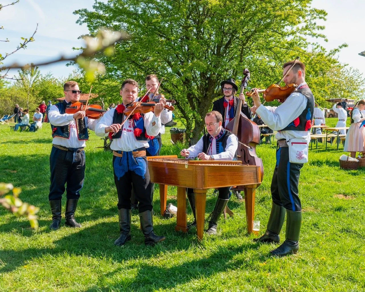 CZ Band for Westfest 2026.jpg