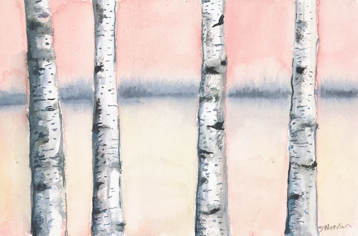 Birches-fnl-tr.jpg