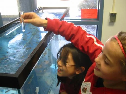Trout in Classroom TU.jpg