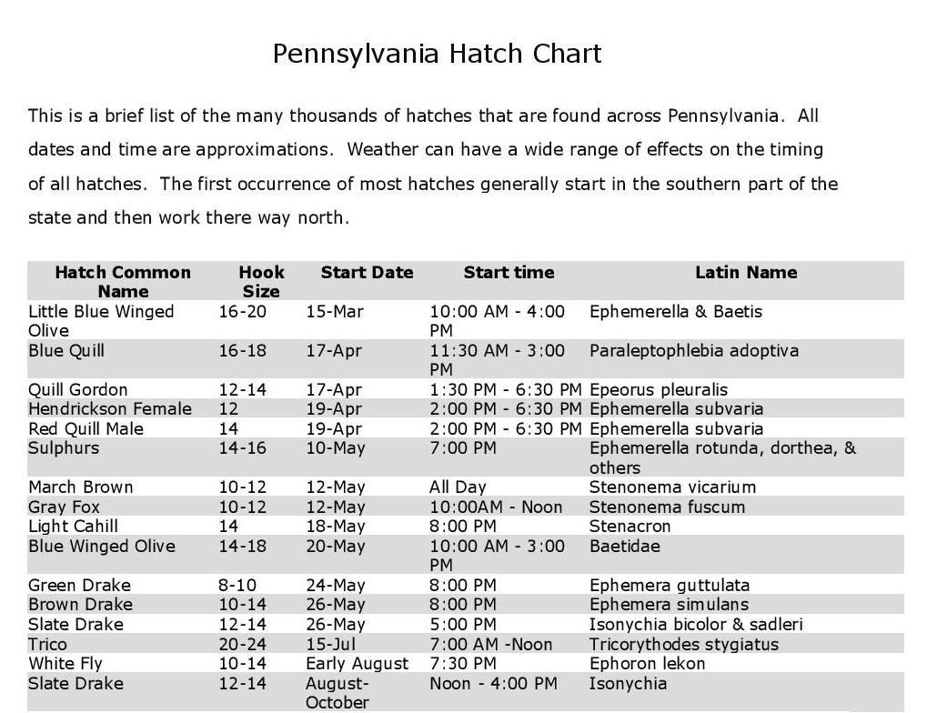 Western Pa Fly Fishing Hatch Chart