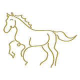 noun_Horse_1284498_b2a15b.png