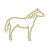 noun_Horse_591415_b2a15b.png
