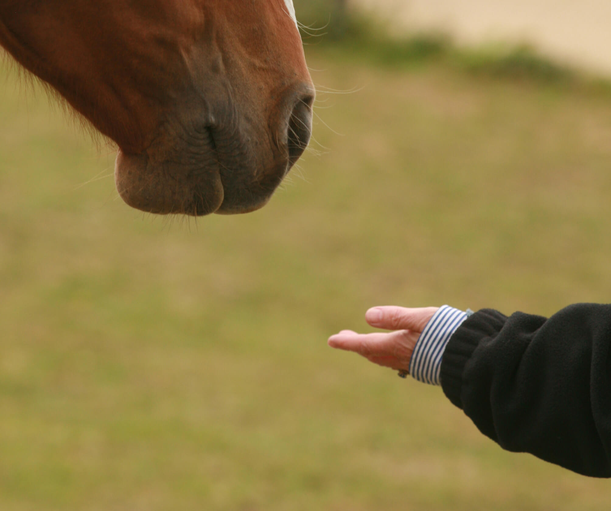 Hand and mouth.jpg