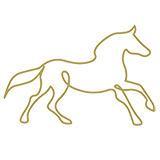 noun_Horse_889362_b2a15b.png