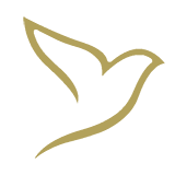 noun_Bird_1062109.png