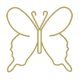 noun_Butterfly_2474541.png