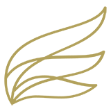noun_wing_1382882.png