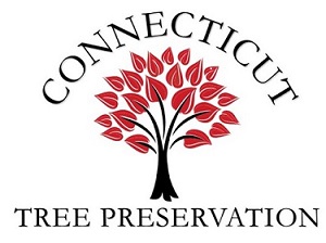 Connecticut Tree Preservation