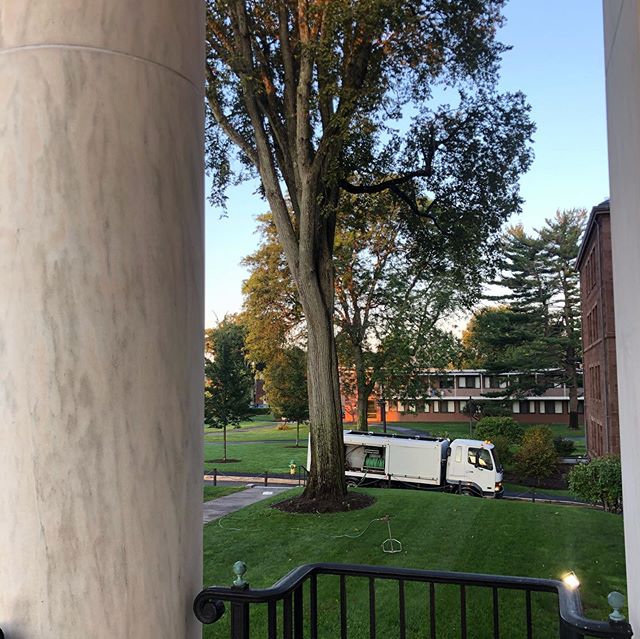 They say the early bird catches the worm! Early morning fall fertilizing with our custom, organic blend to create optimal growth conditions before winter #cttree #treepreservation #treefertilization #elmtree #treecare #ctpa