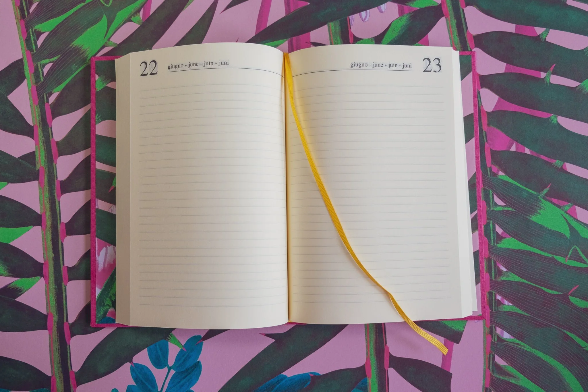 diary2.jpeg