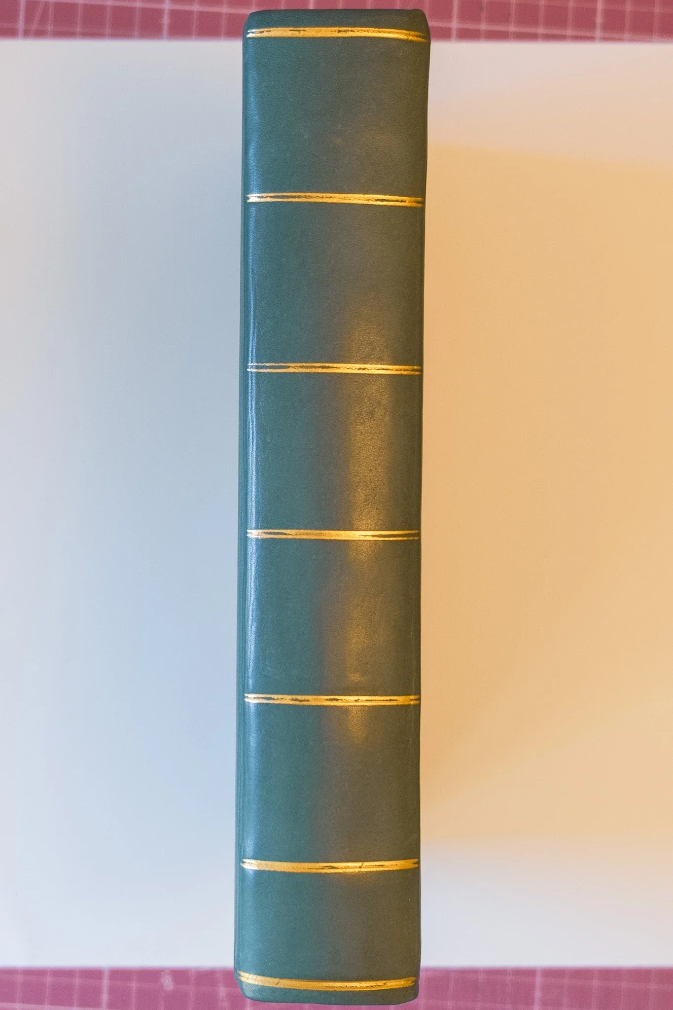 DSCF3954.jpg
