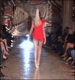 trip.gif