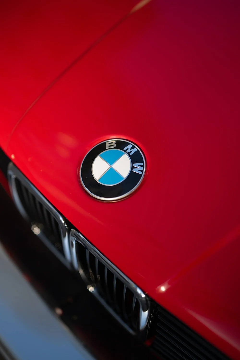 Detail of the BMW badge on the red hood