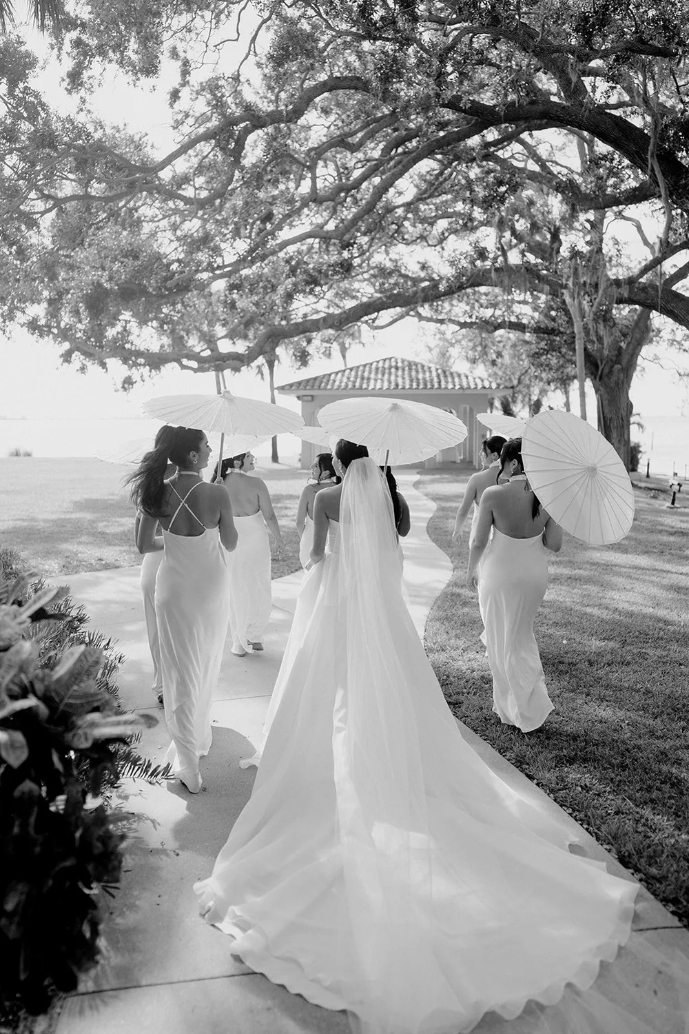 Black and white photo of the bride in her long veil walking across the lawn under oak trees with her bridesmaids carrying white parasols