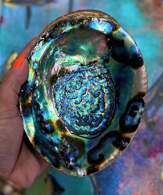 Abalone Shells.jpg