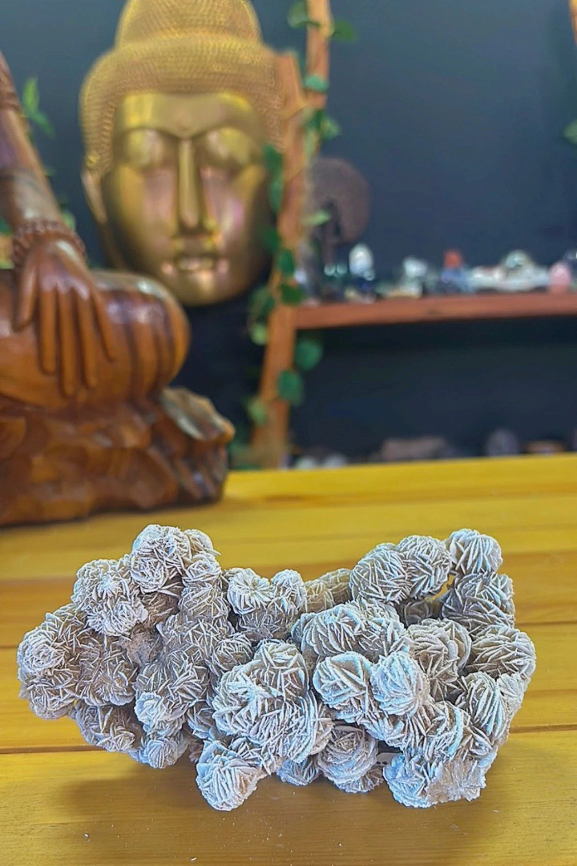Desert Rose crystal cluster known for grounding, protection, and past-life connection — shaped from gypsum and desert sand.