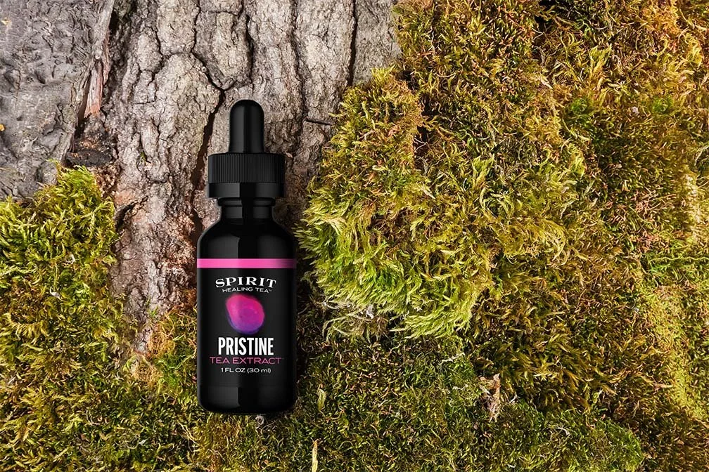 Pristine-Tea-Extract-Bottle-on-Tree-Bark.jpg