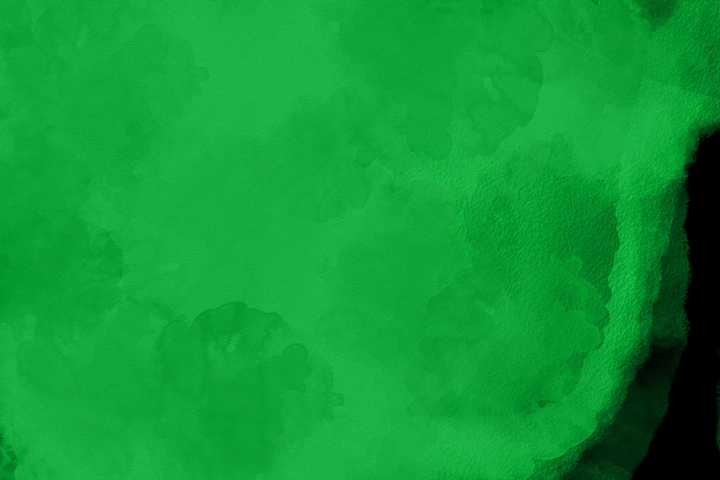 green-banner.jpg