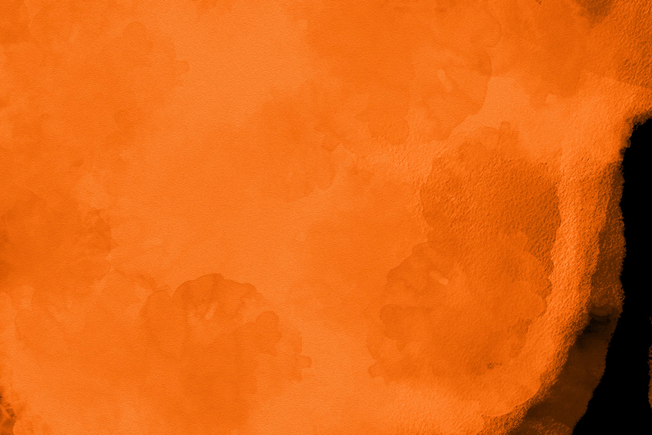 orange-banner.jpg
