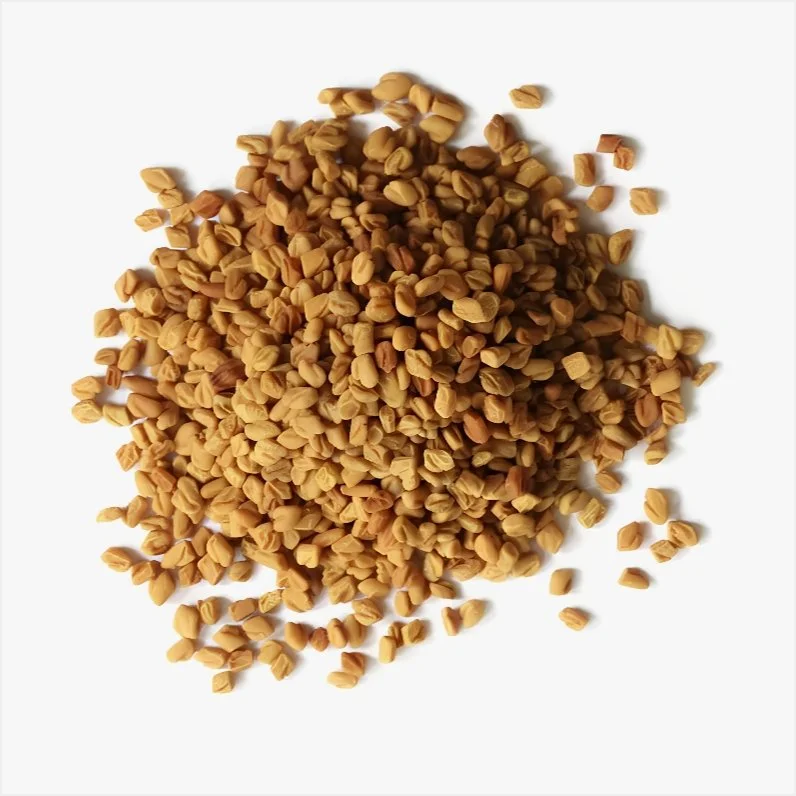 Fenugreek Seed