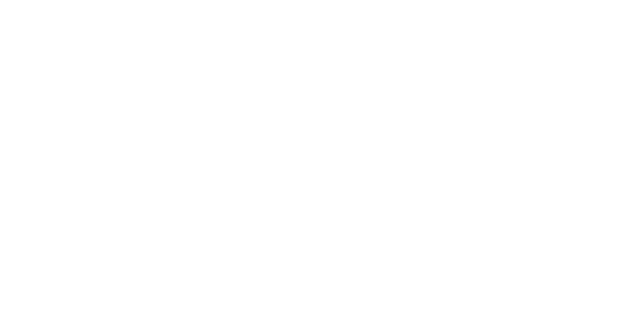 Spirit Healing Tea™  |  Organic Herbal Teas and Wellness Blends