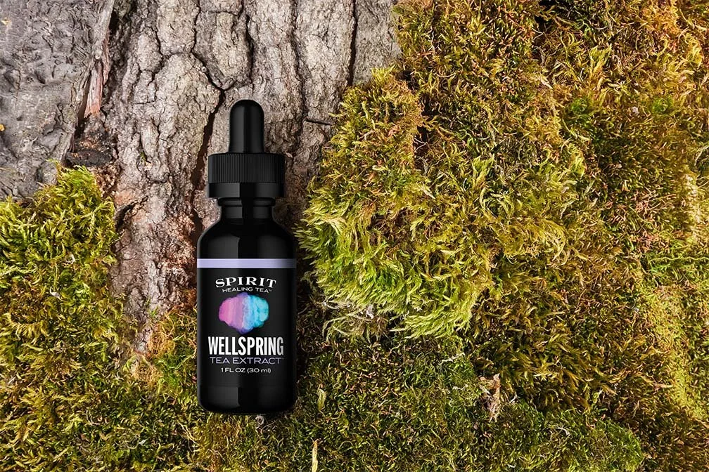 Wellspring-Tea-Extract-Bottle-on-Tree-Bark.jpg