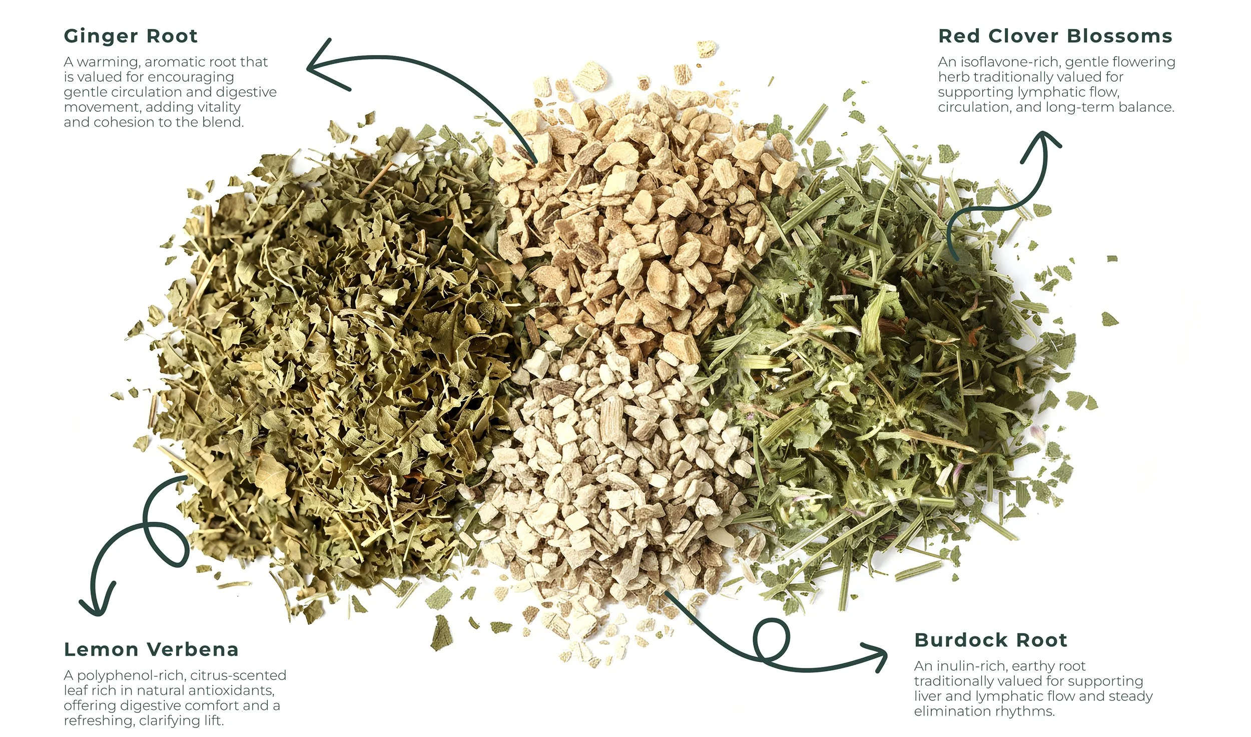 Protection Tea Ingredients