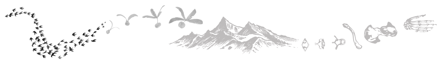 facilitator-header.png