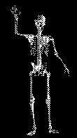 10SkeletonWave.gif