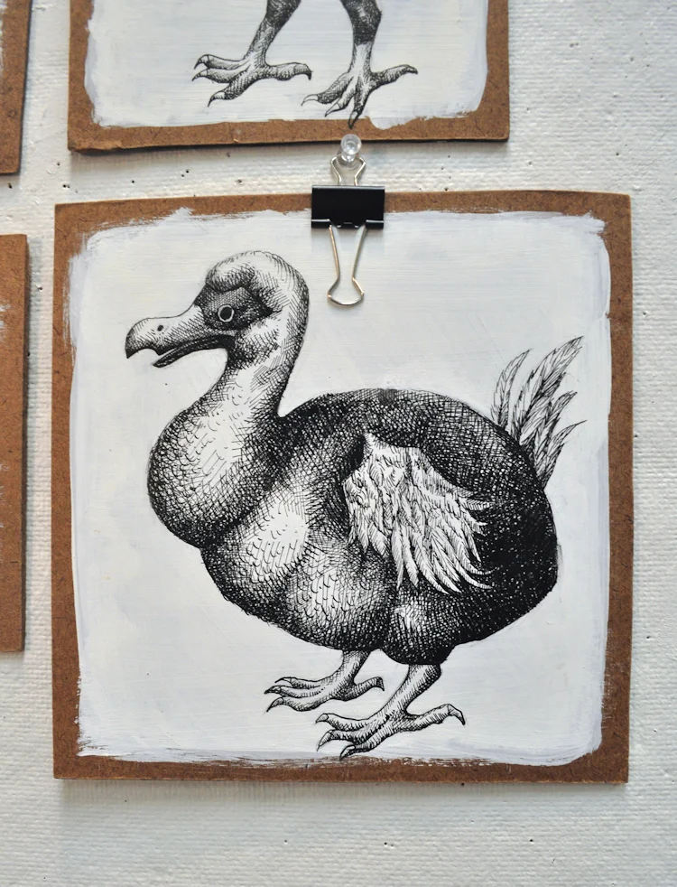 " The Unreliable Naturalist," 2017. Ink on gessoed masonite. 24" x 36" installation.
