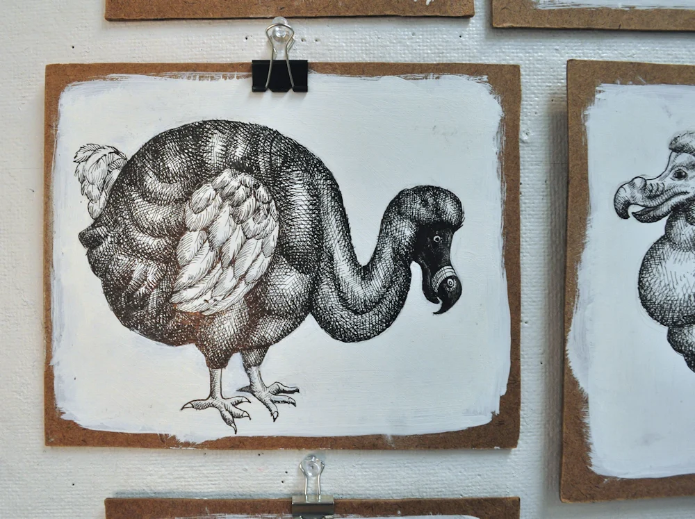 " The Unreliable Naturalist," 2017. Ink on gessoed masonite. 24" x 36" installation.
