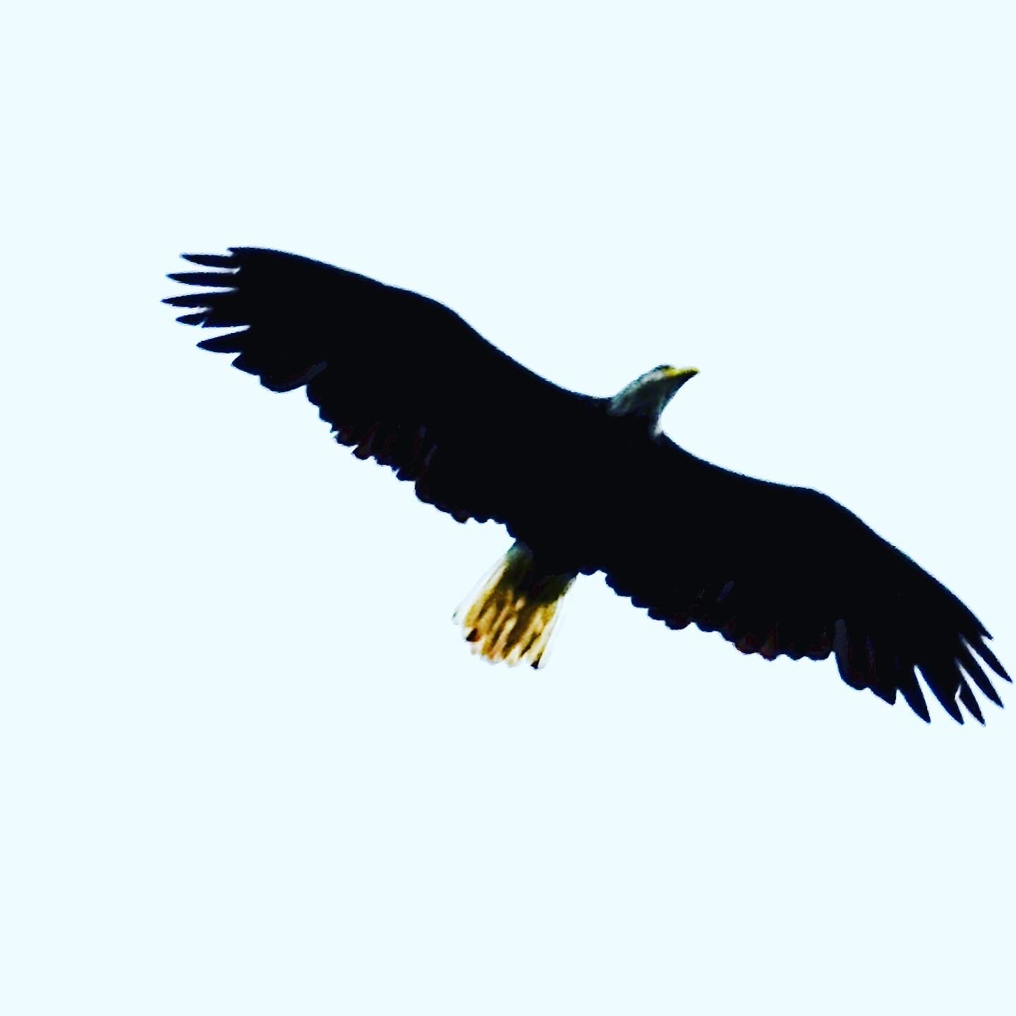 3A15512D-700B-4DED-B5DB-3E9A51E490FD.jpeg