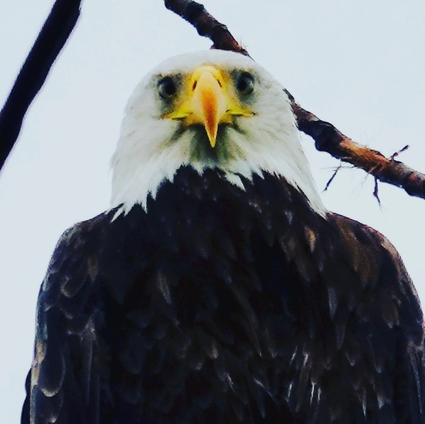 E6CB0B5B-0423-45B6-AEB0-EE602DD8C61F.jpg