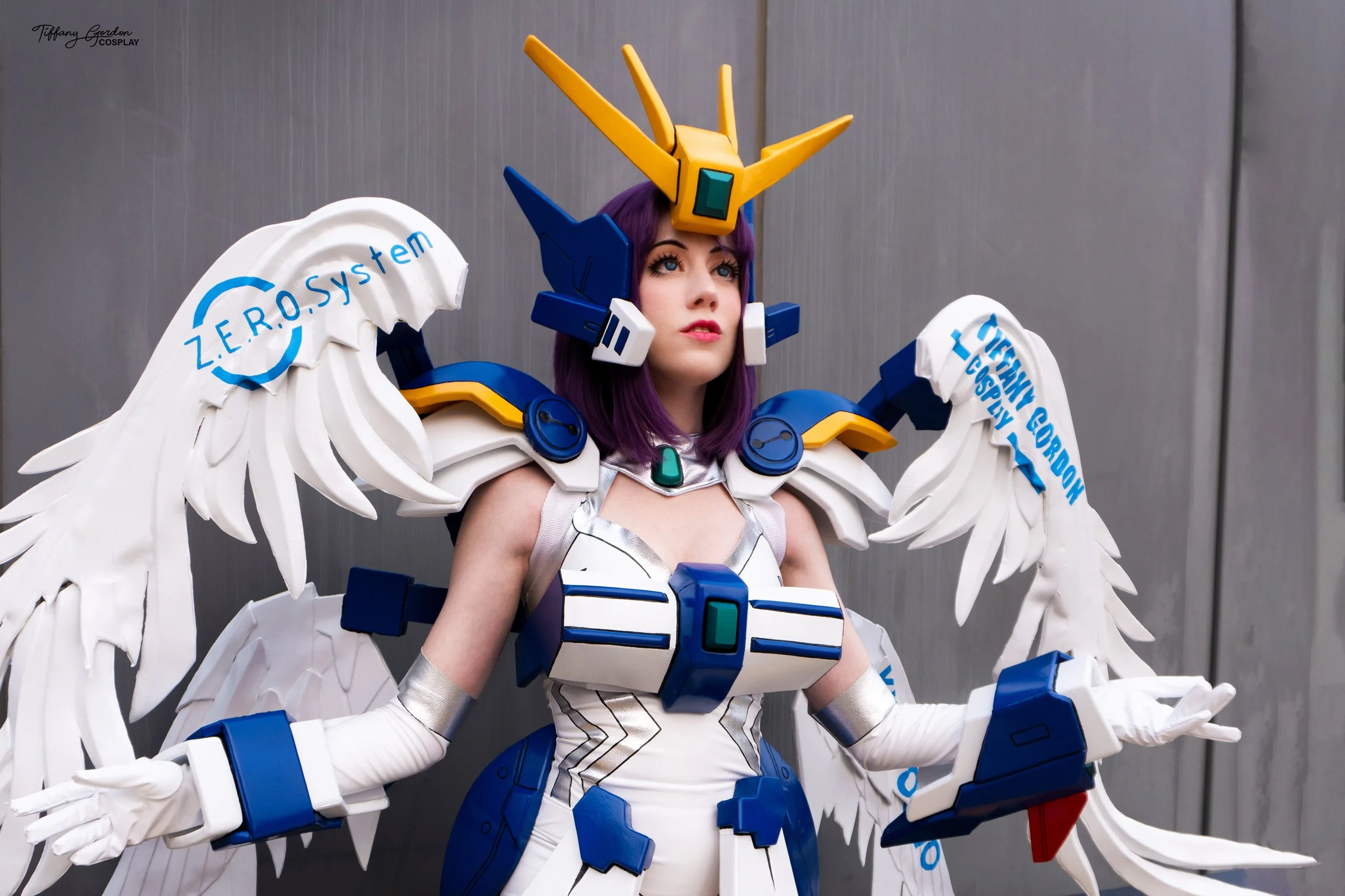 TGC- Gundam 16.jpg